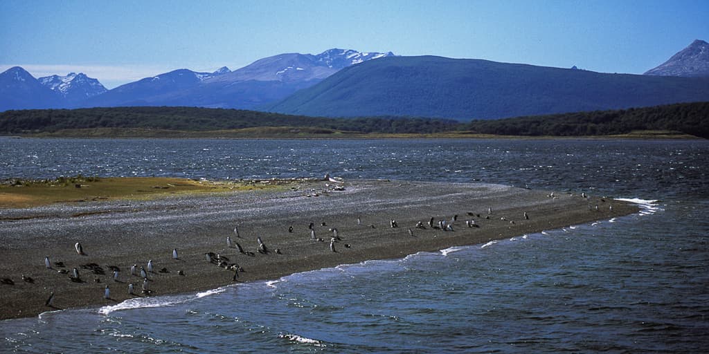 Penguin River Beach