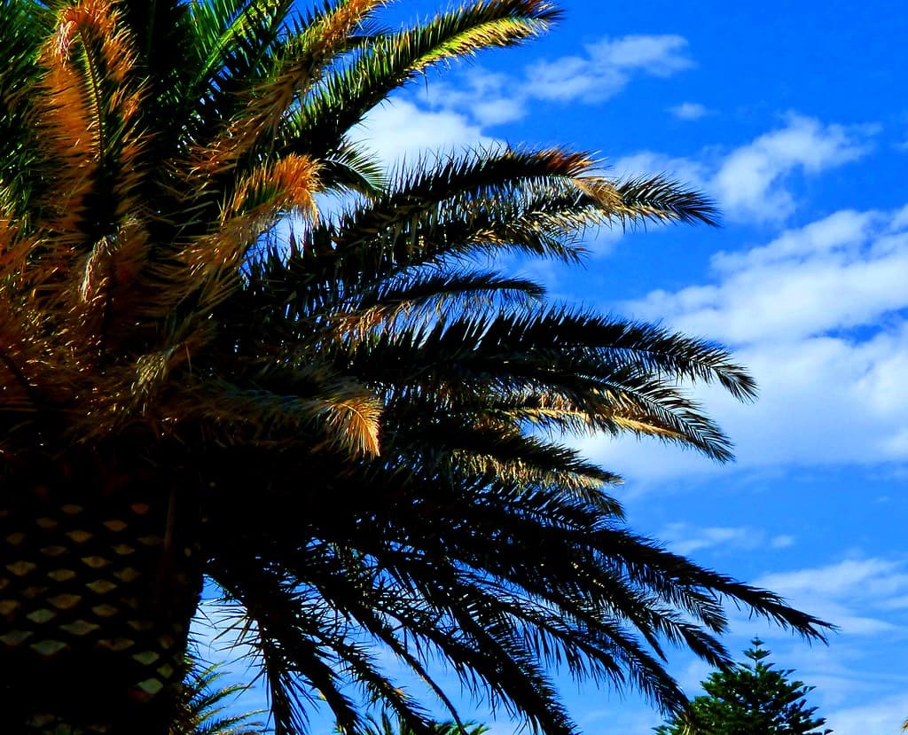 Pine Beach