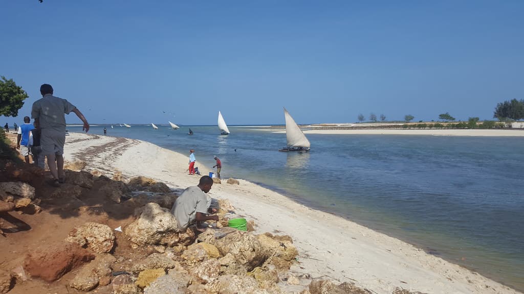 Mbudya Eastern Beach
