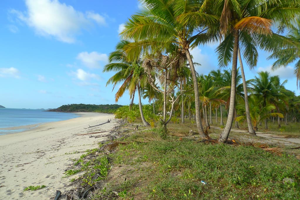 Badu Island Beach