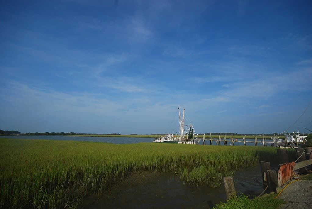 Folly Field Beach