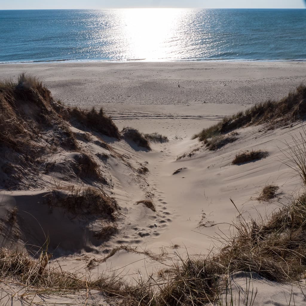Bøvling Klit Beach