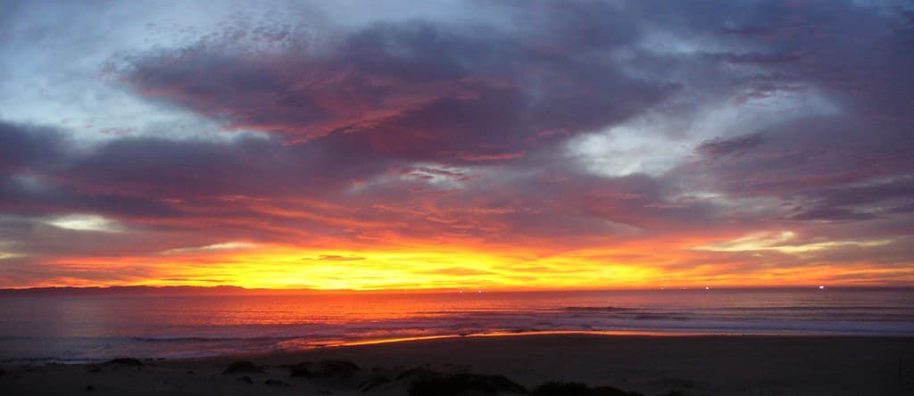 Albatross Beach