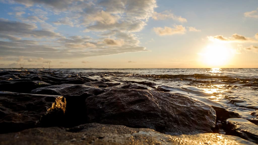 Roompot Beach