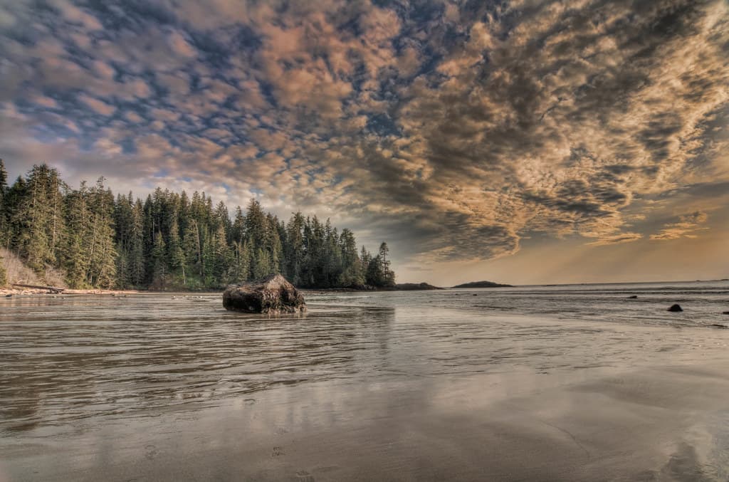 Brown’s Beach