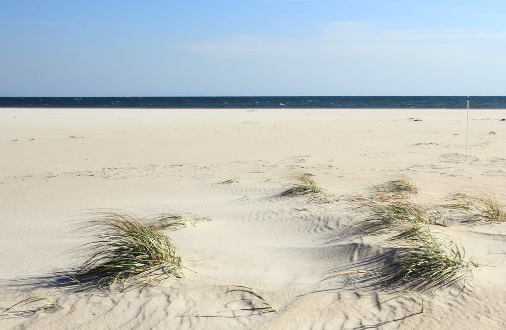 Smith Point County Park Beach