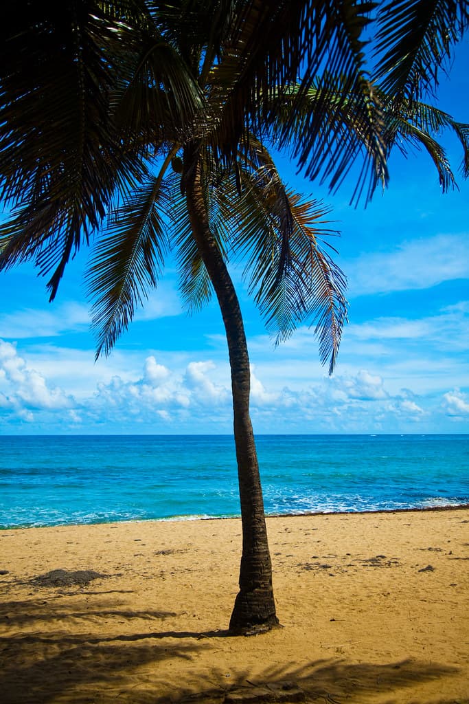 Playa Torrecilla Baja
