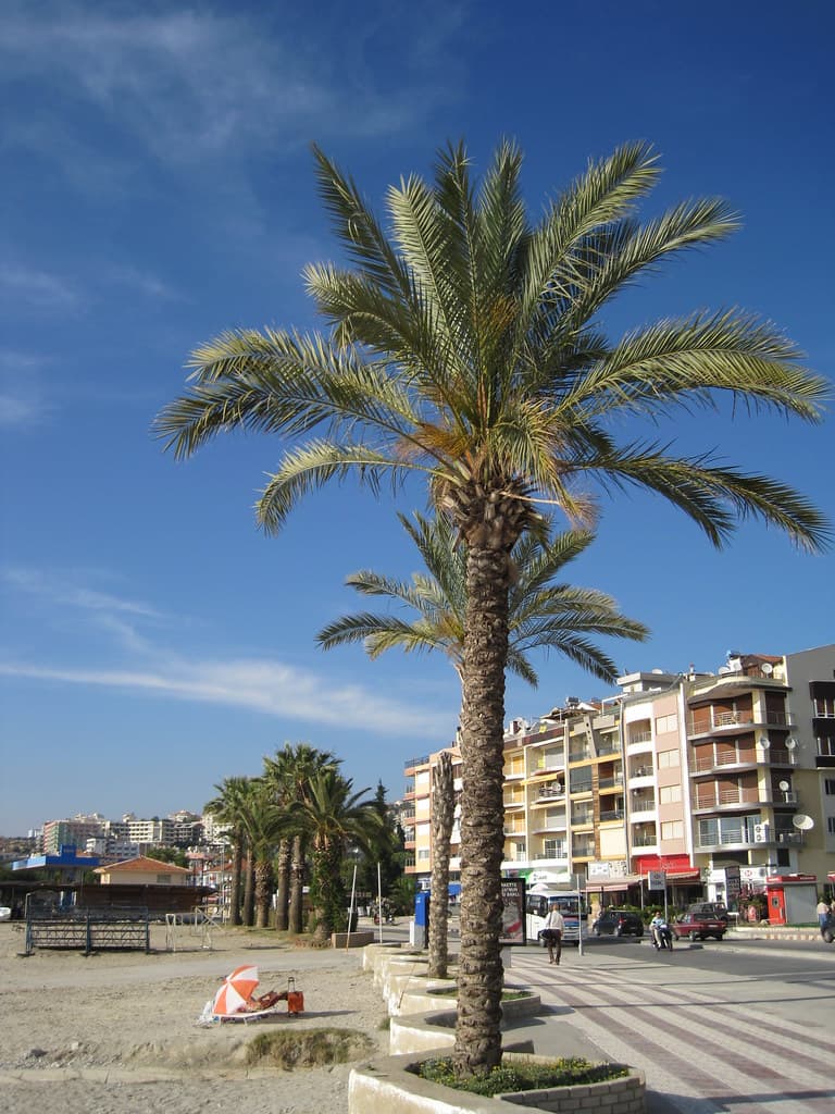 Pygela Beach