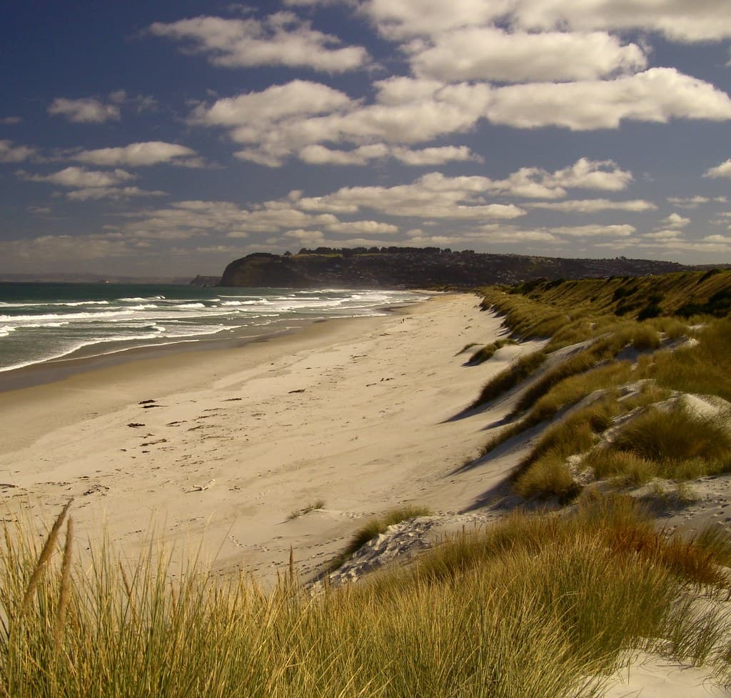Stephens Field Beach