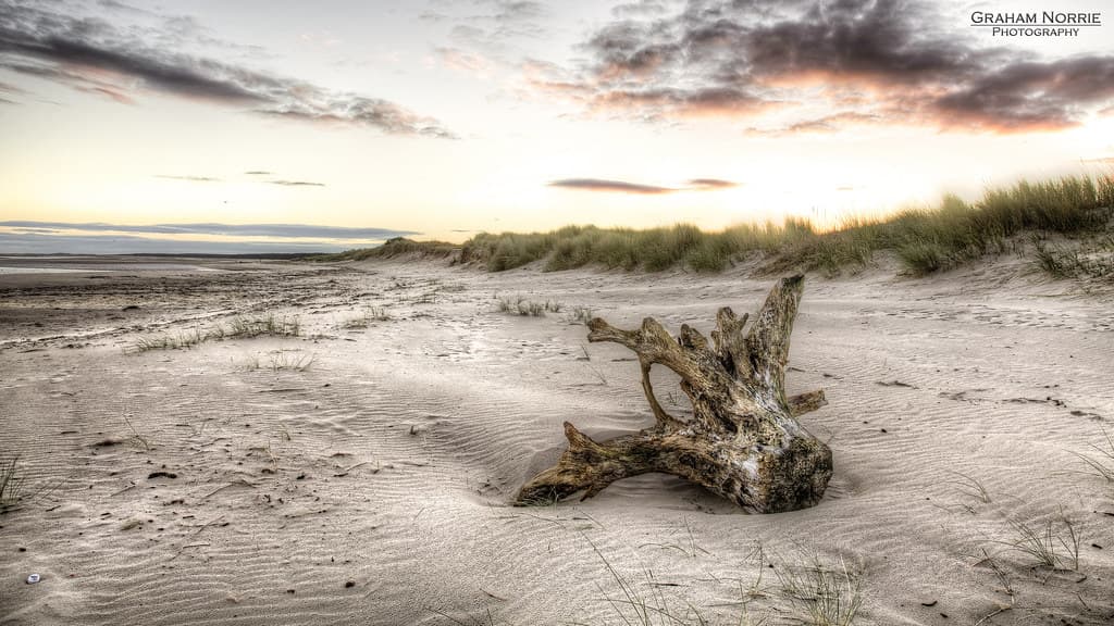Auldearn Beach