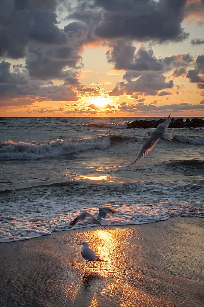 Lighthouse Beach