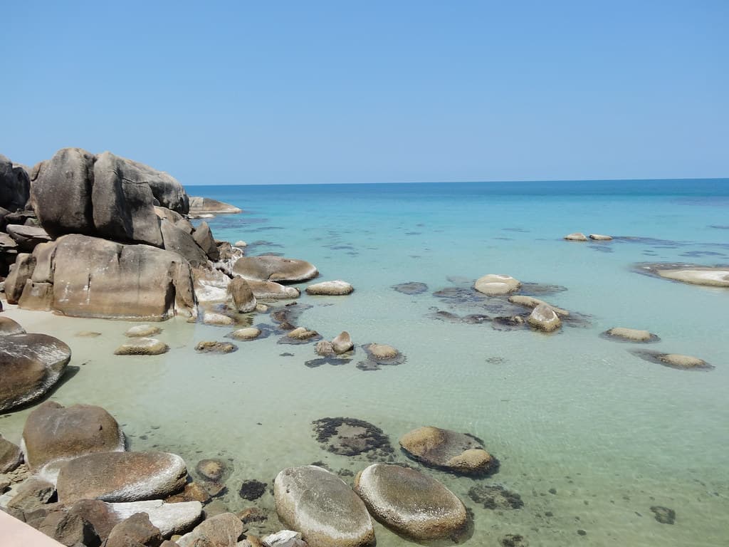 Coral Cove