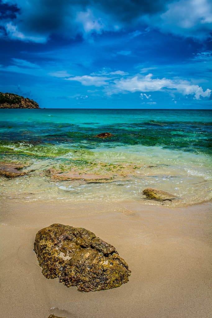 Hawksbill Cove (Eden Beach area)