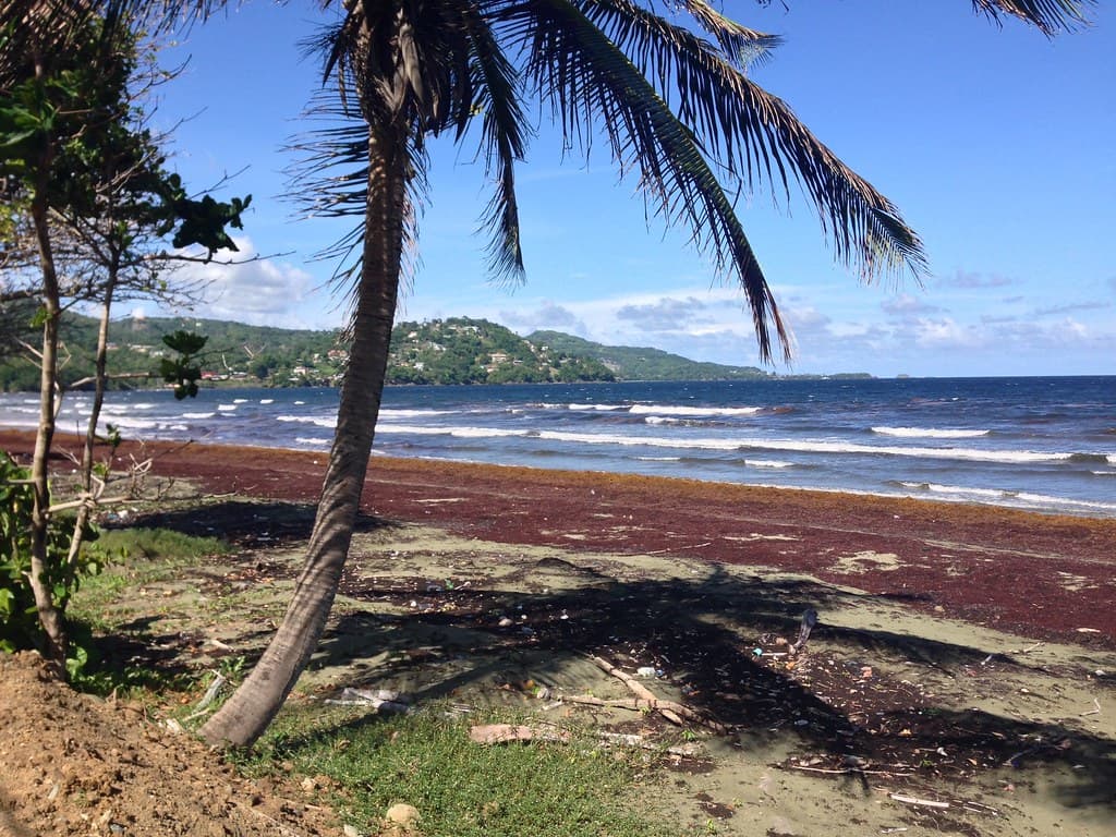 Petit Trou Beach