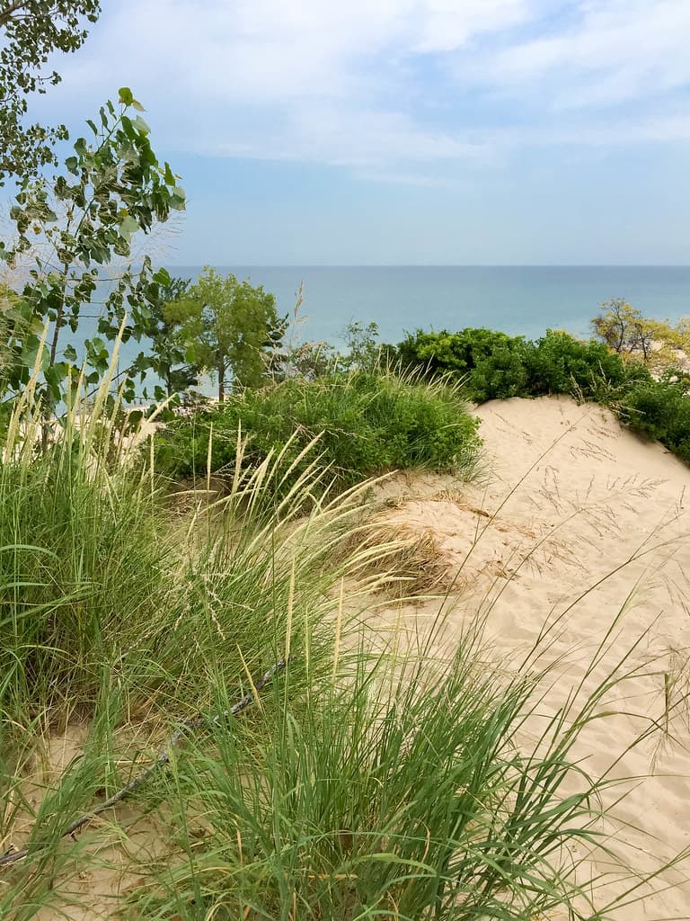 Indiana Dunes State Park Beach