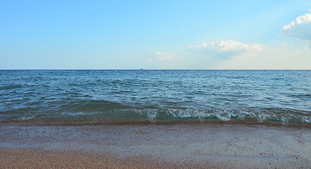 Shark's Bay