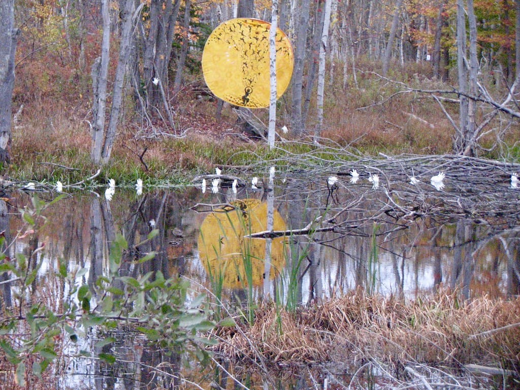 Still Pond Beach