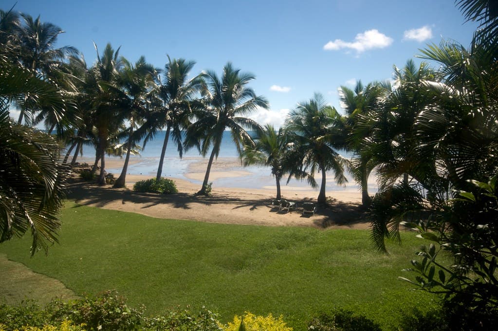 Ellington Beach
