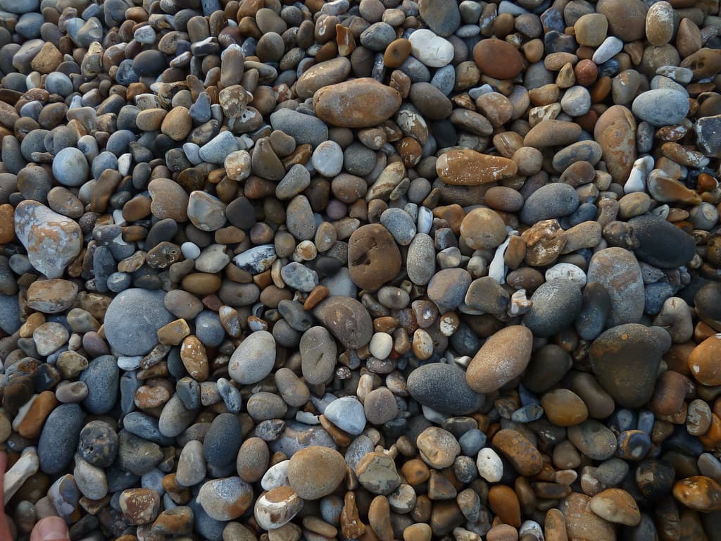Dowses Beach