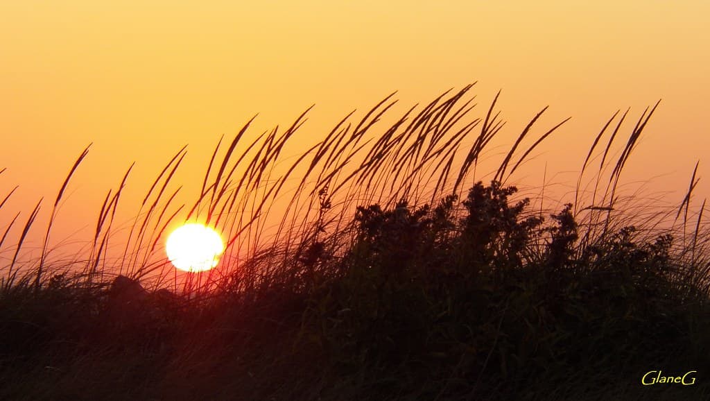 Port Hood Beach