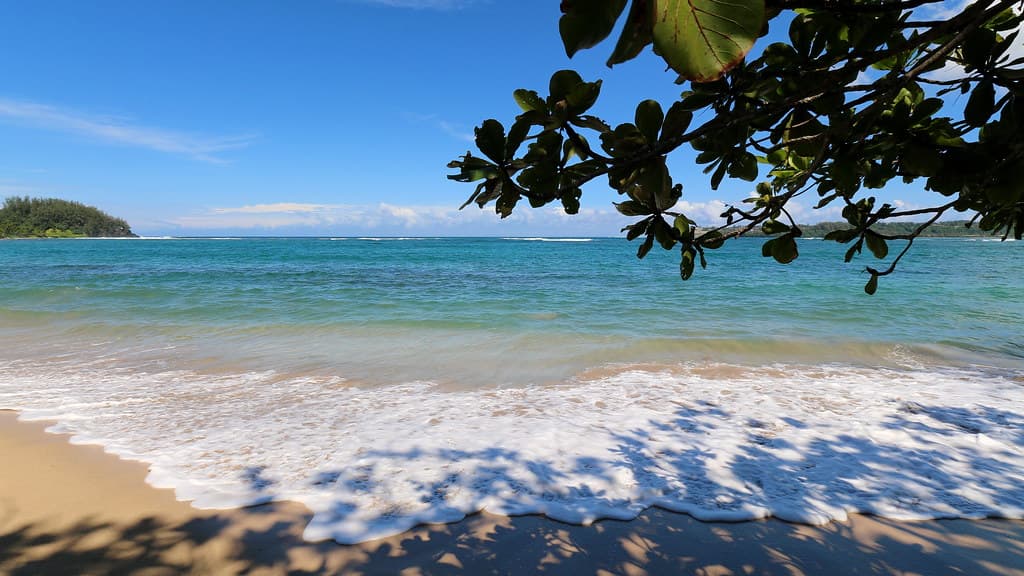 Hanalei Bay Beach