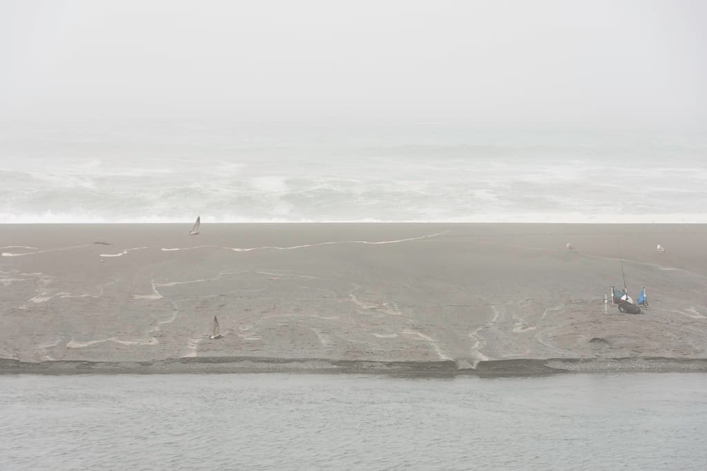 Seagull Beach