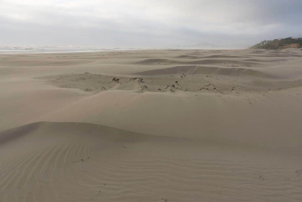 Wells Beach