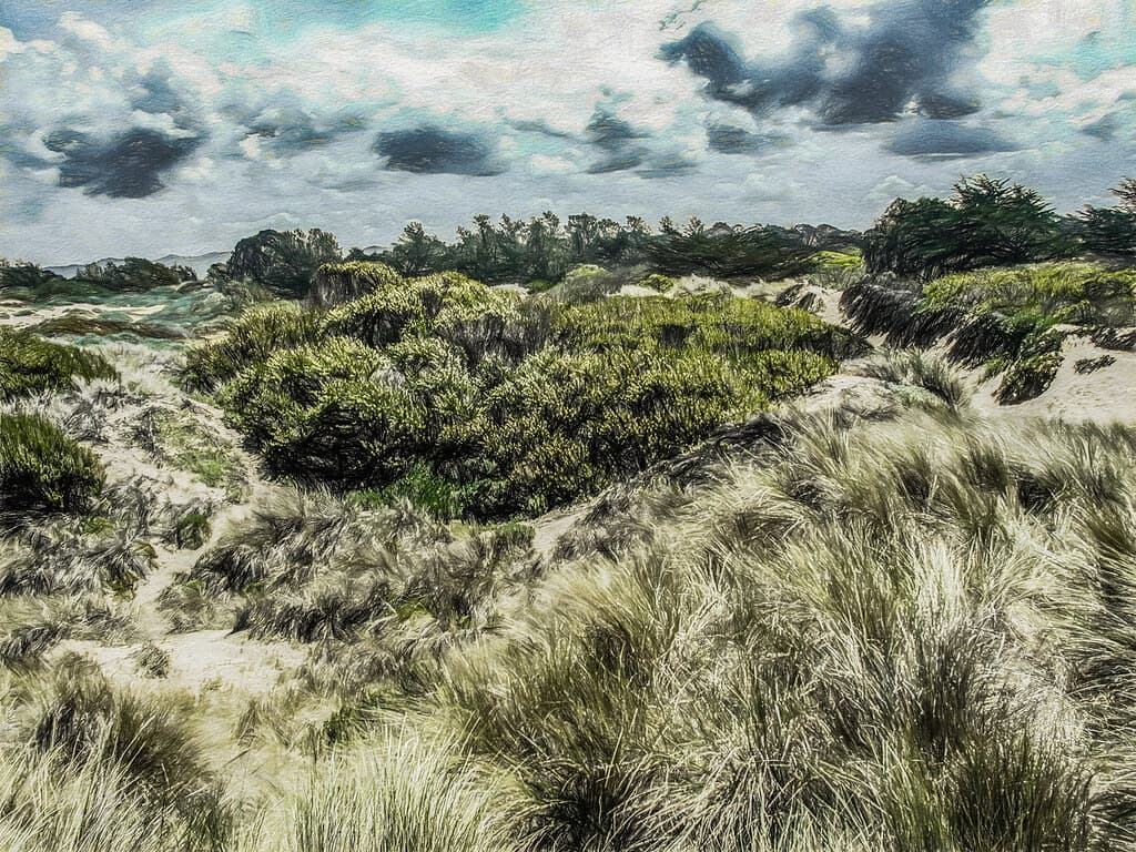 Dunes Park Beach