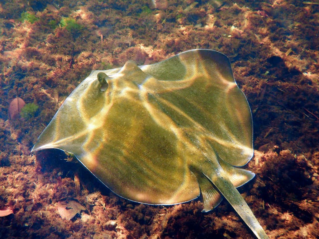 First Encounter Beach