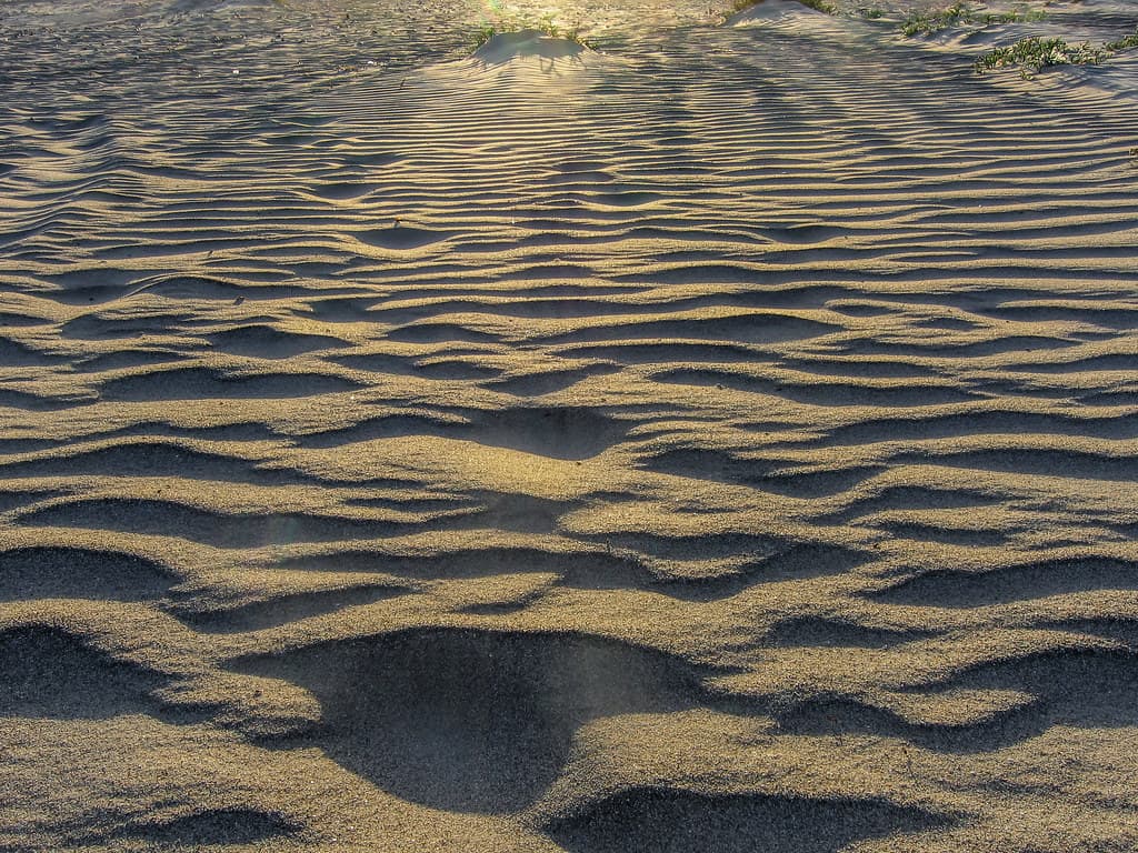 Freshwater Bay Beach
