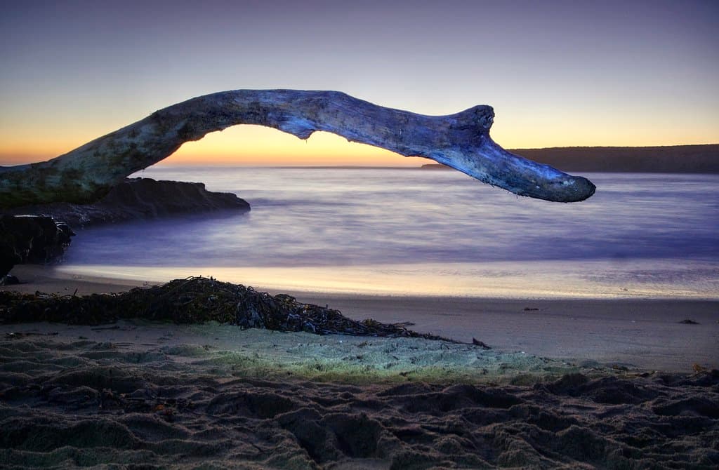 Mile Beach