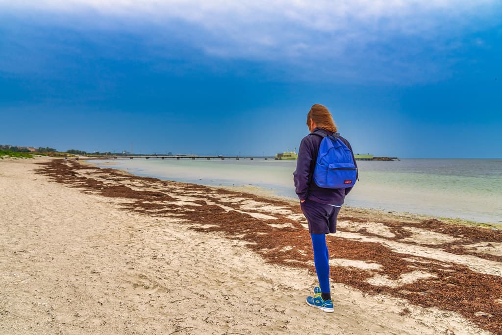 Sibbarp Beach