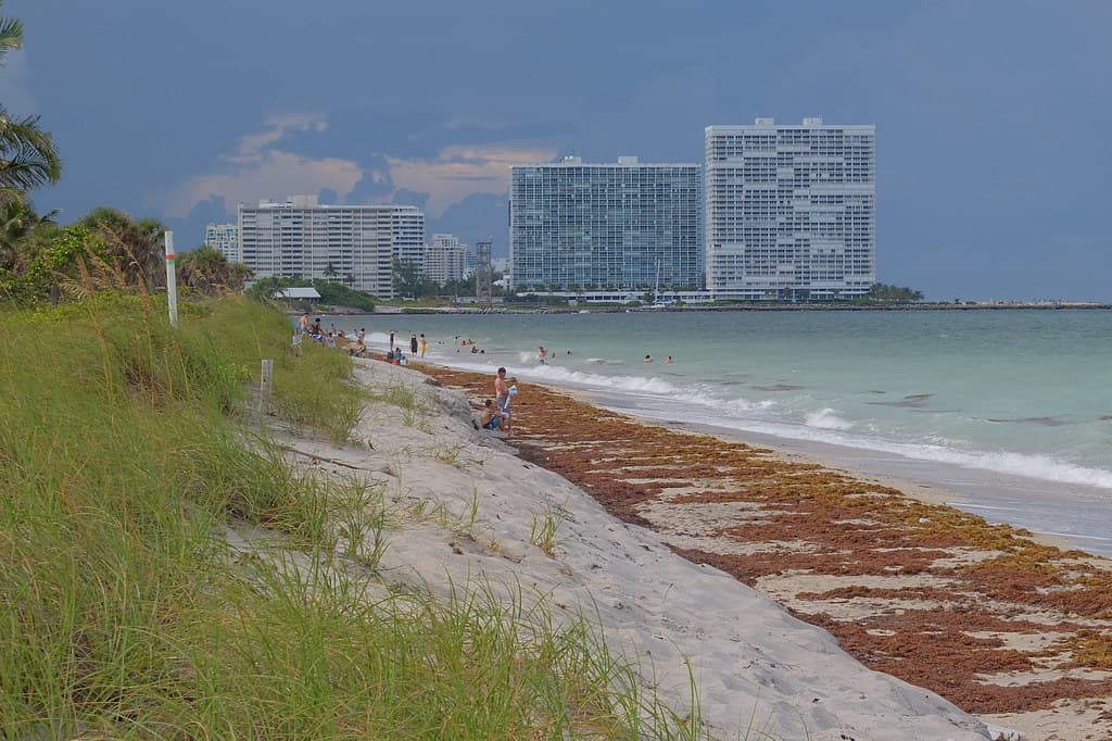 Dr. Von D. Mizell-Eula Johnson State Park Beach