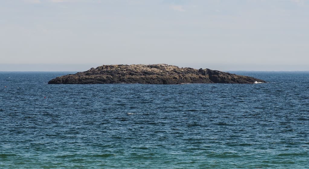 Arcadia Beach