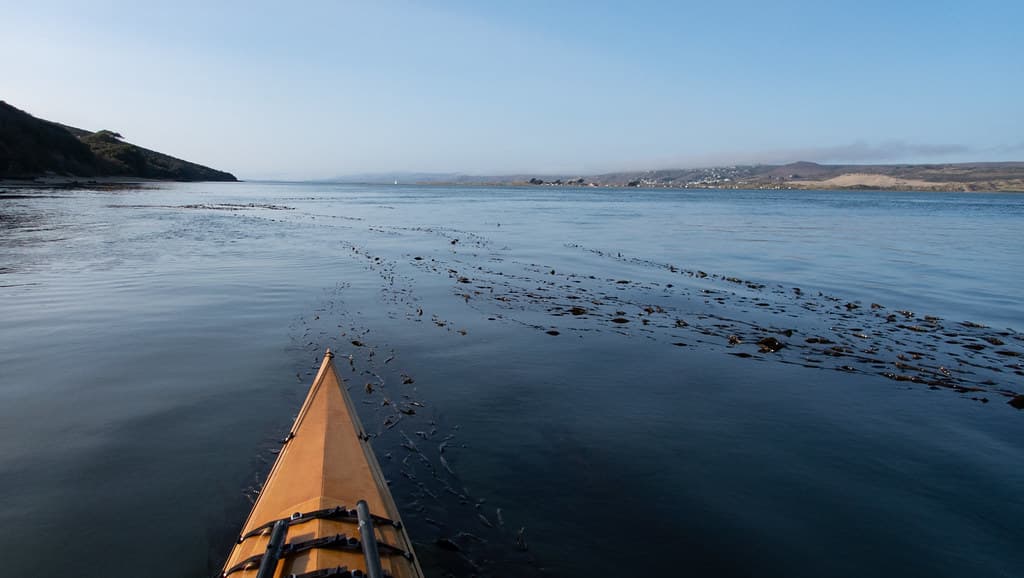 Otter Point Beach