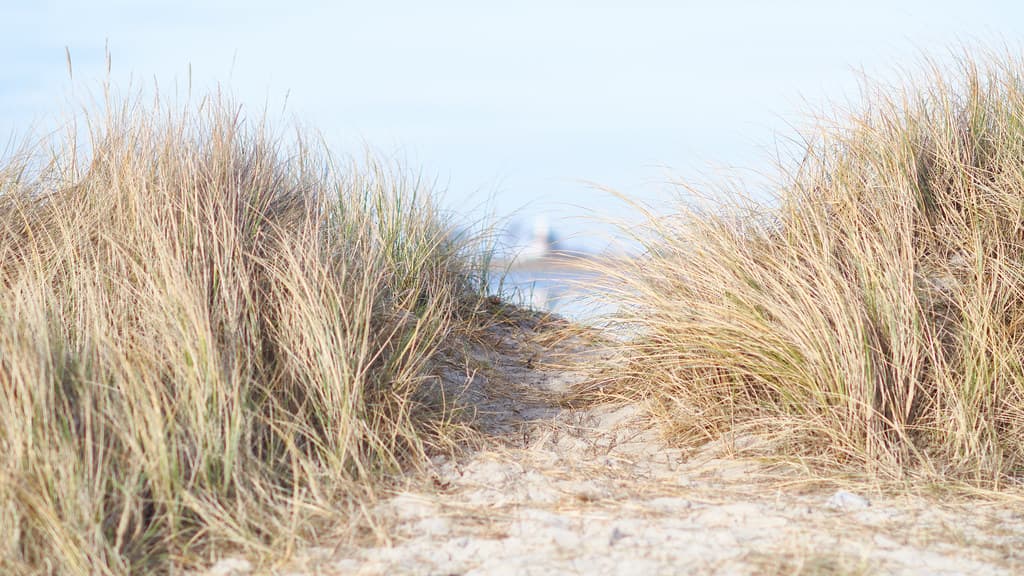 Ommel Strand