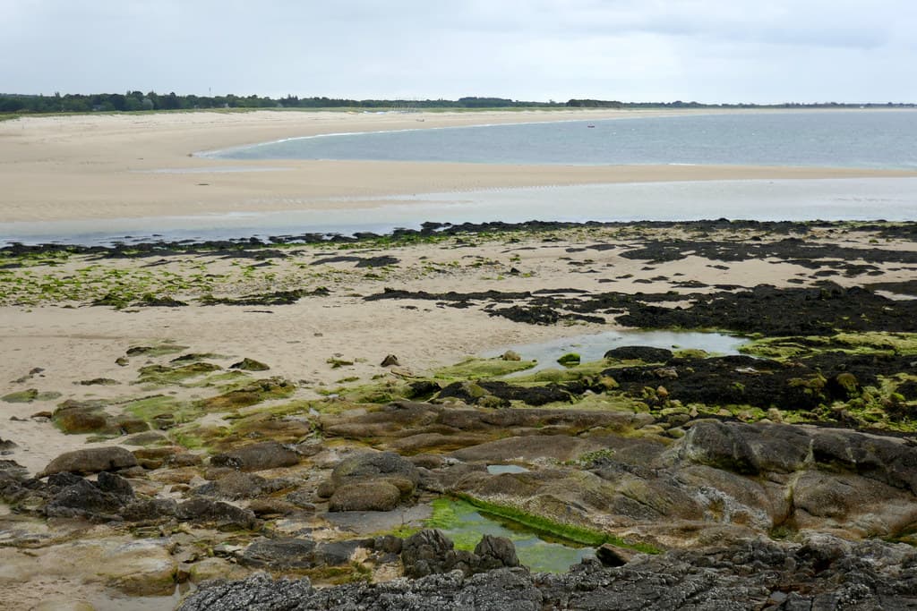 Plage du Trez