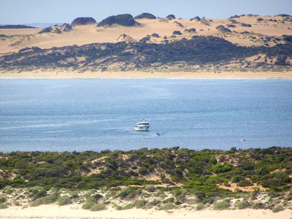 Pareora Beach