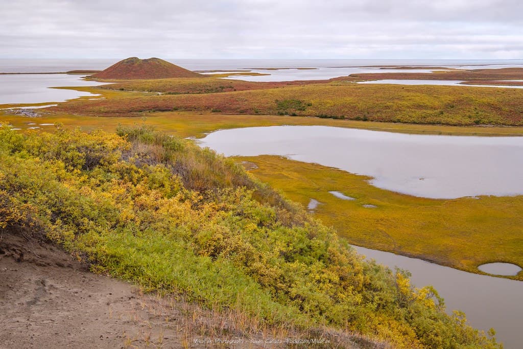 Tuktoyaktuk Peninsula Coast