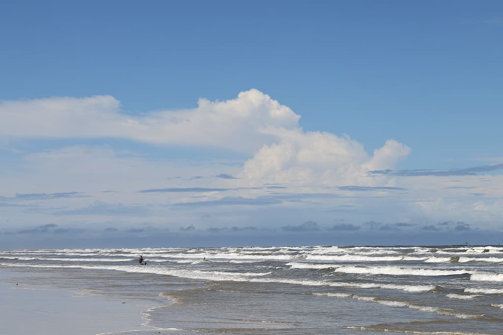 Hannah Point Beach