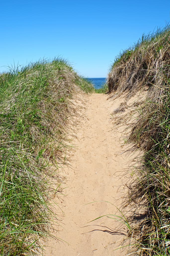 Caribou-Munroes Island Beach