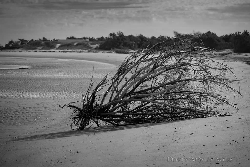 Cape Lookout National Seashore Beach