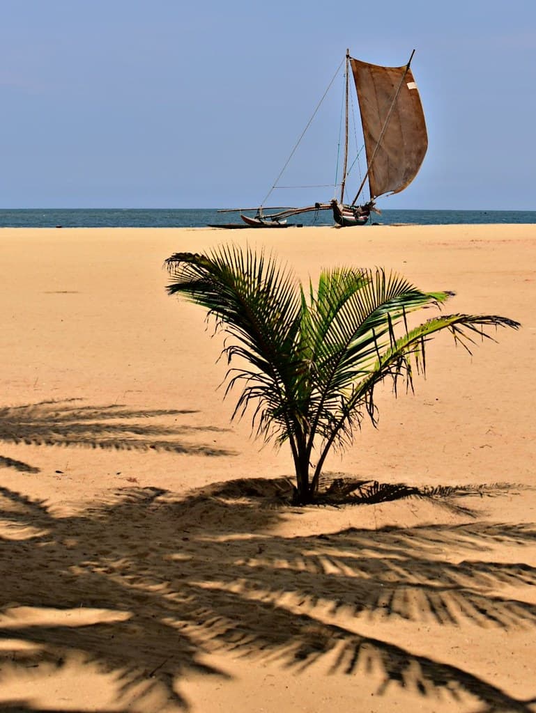 Muthurajawela Beach