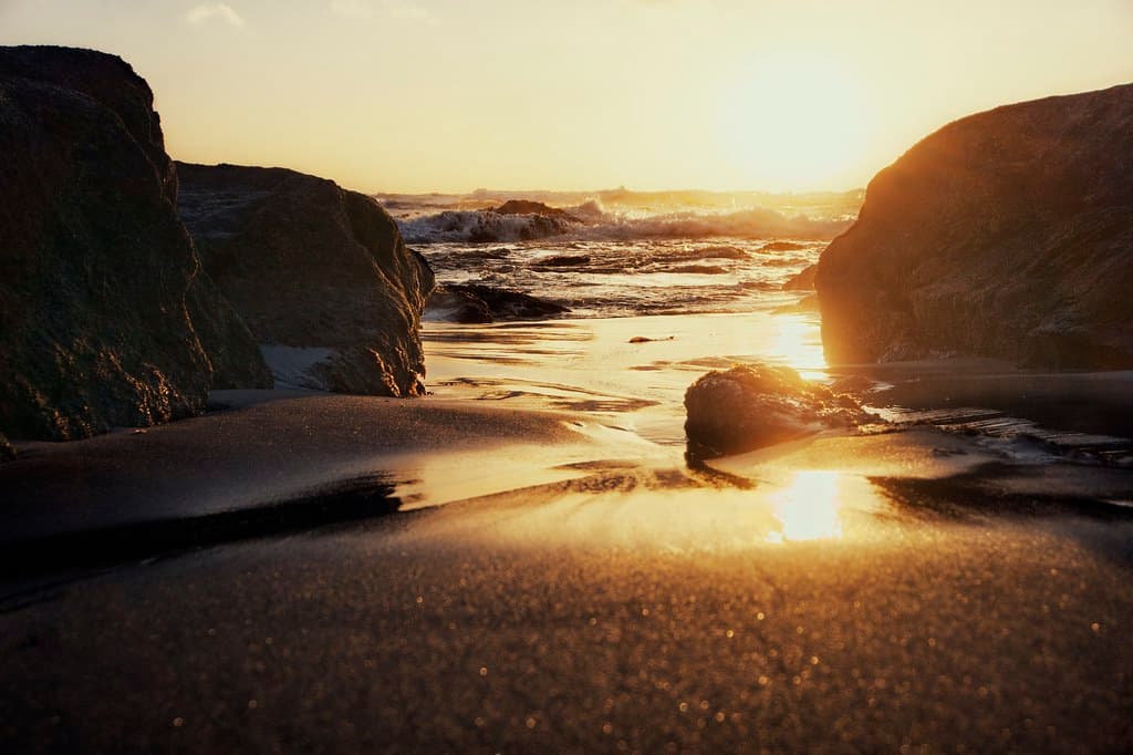 Asilomar State Beach