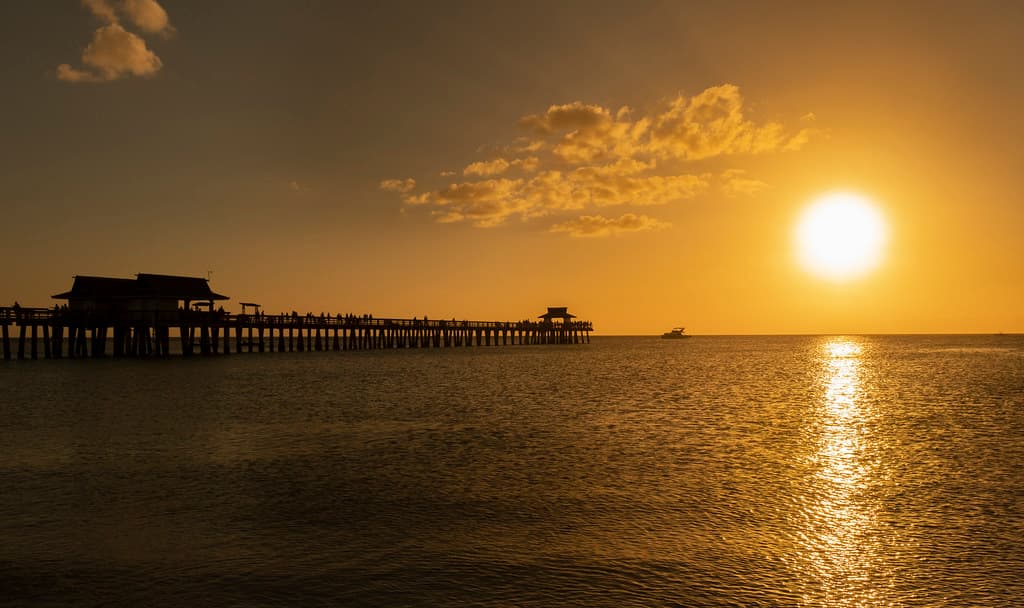 Gulf Beach