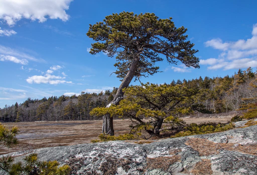 Popham Beach State Park