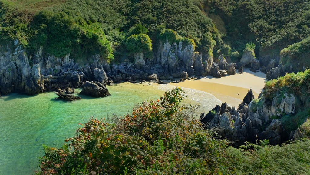 Playa de Oyambre