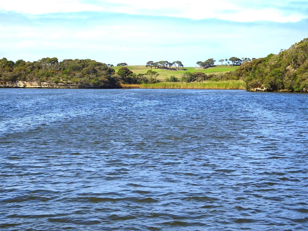 Mitchell River Beach