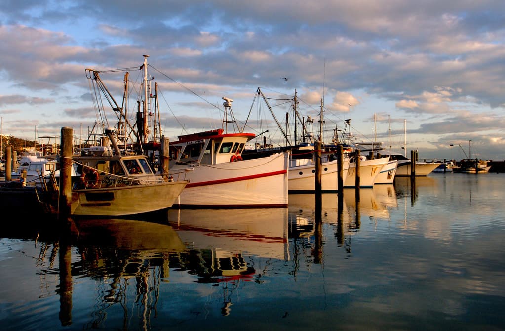 Boat Harbour Beach