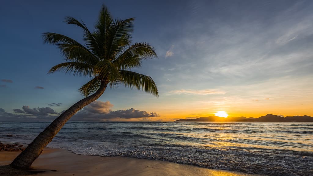Petite Anse